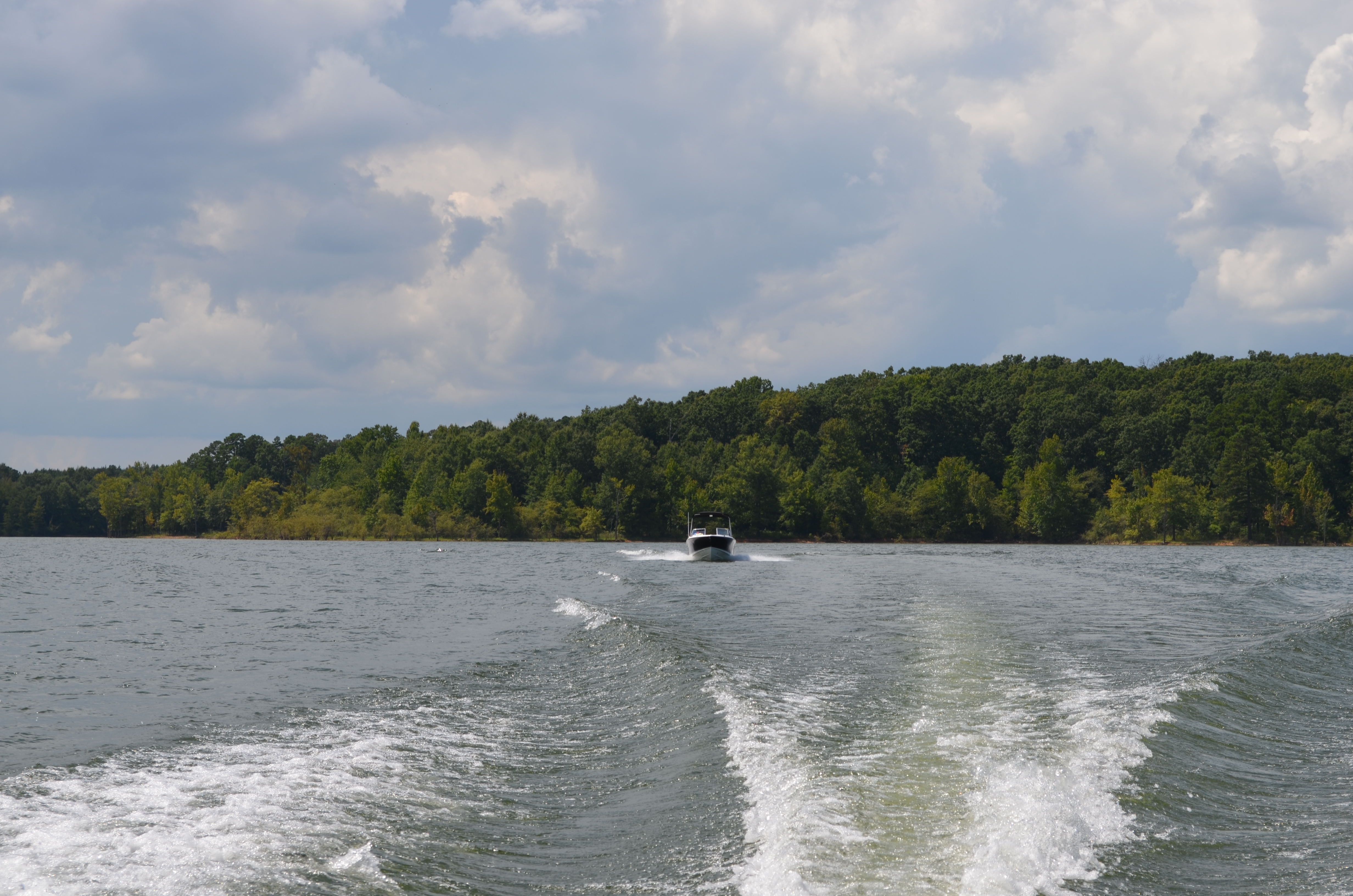 ./2016/15 - Kerr Lake 2/DSC_0357.JPG